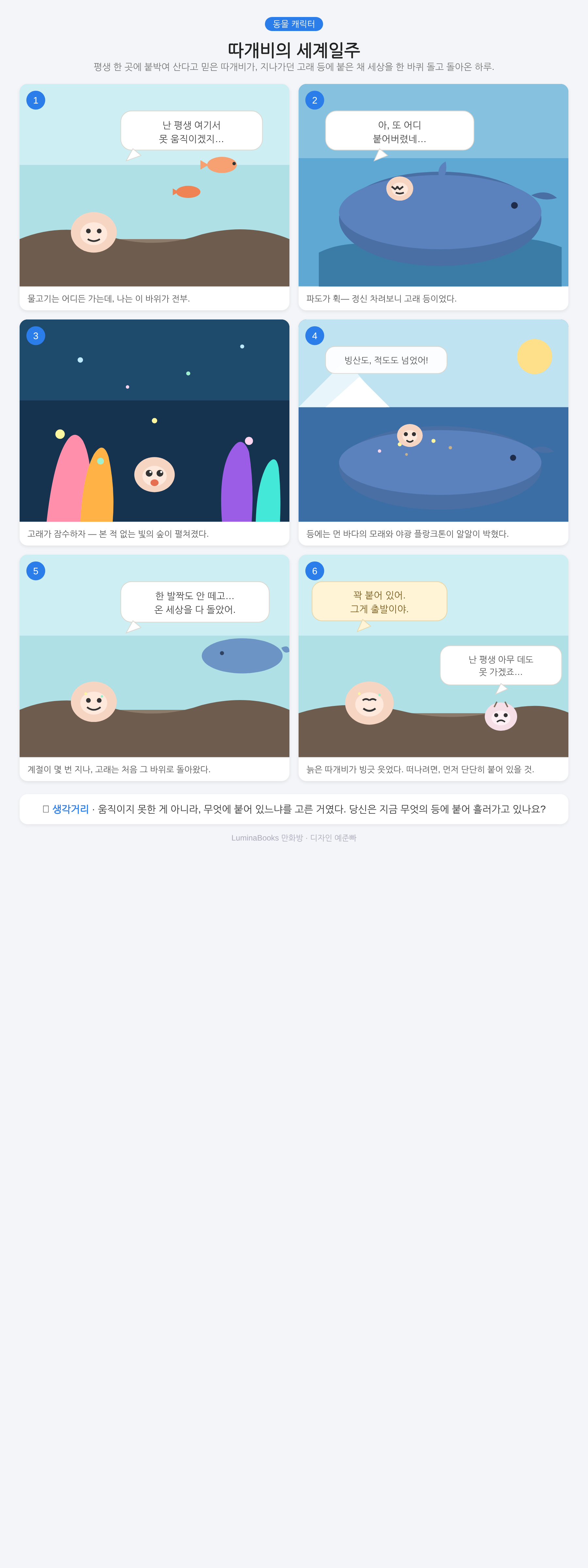 따개비의 세계일주