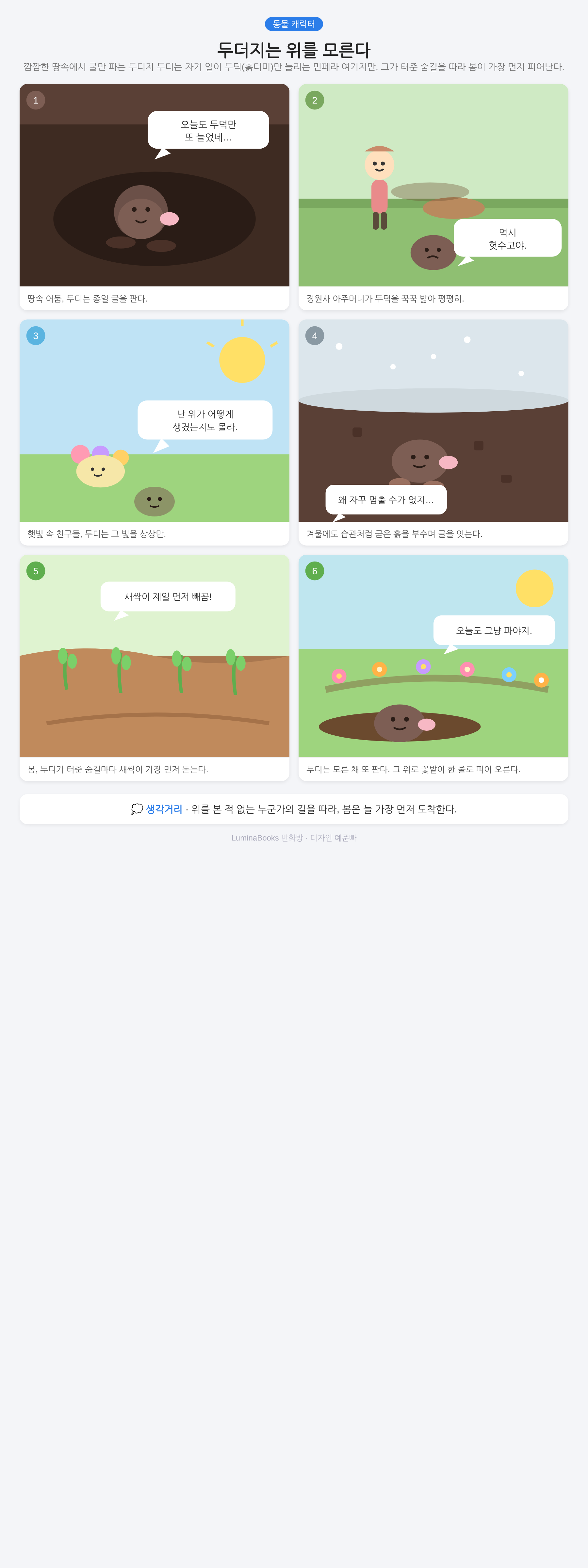 두더지는 위를 모른다