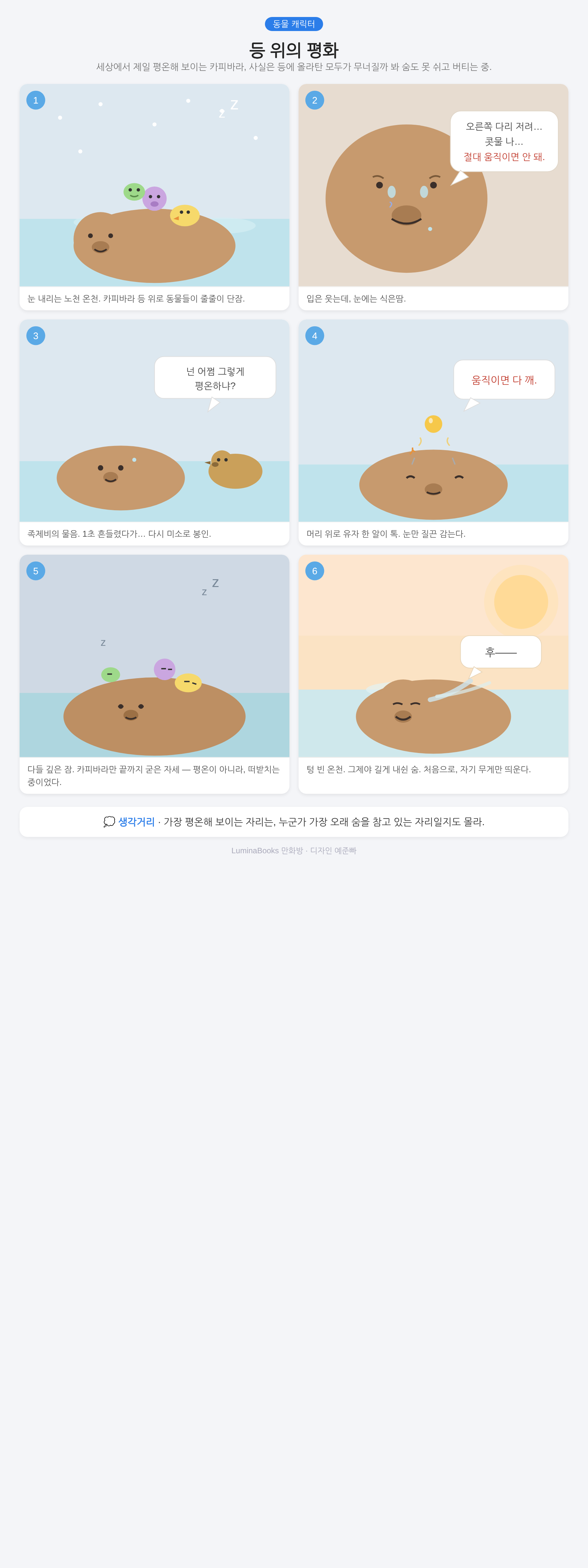등 위의 평화
