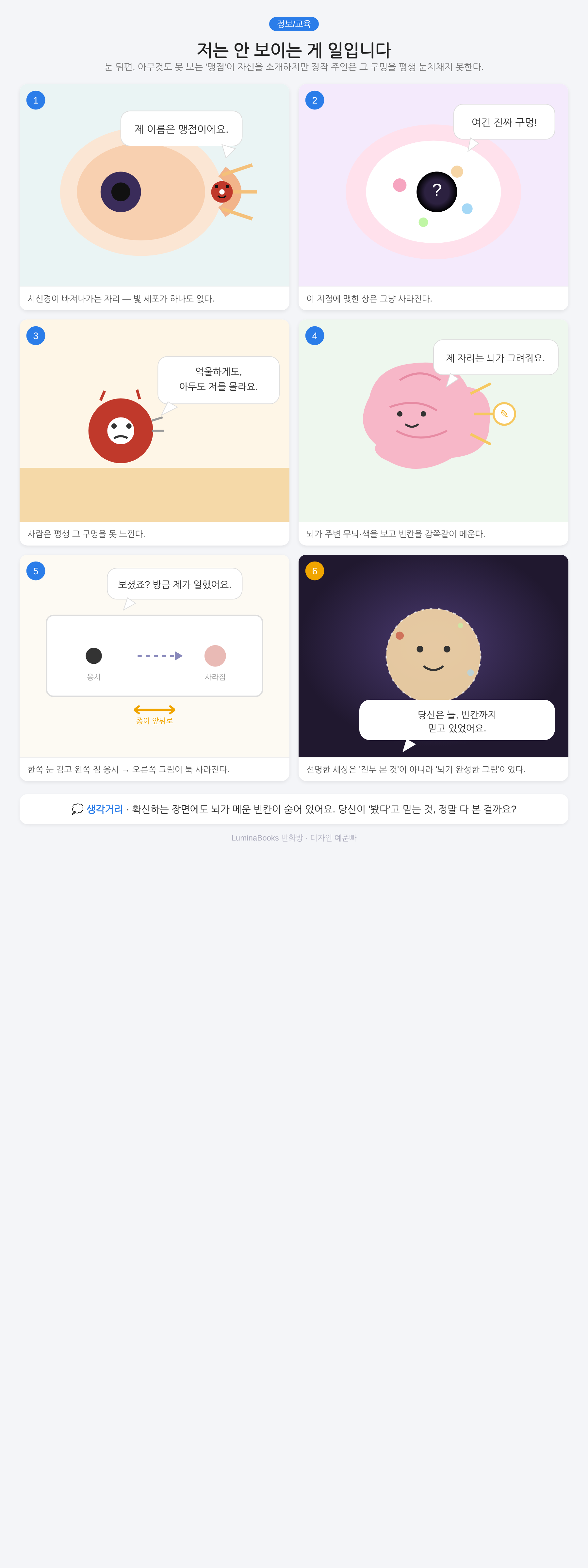 저는 안 보이는 게 일입니다