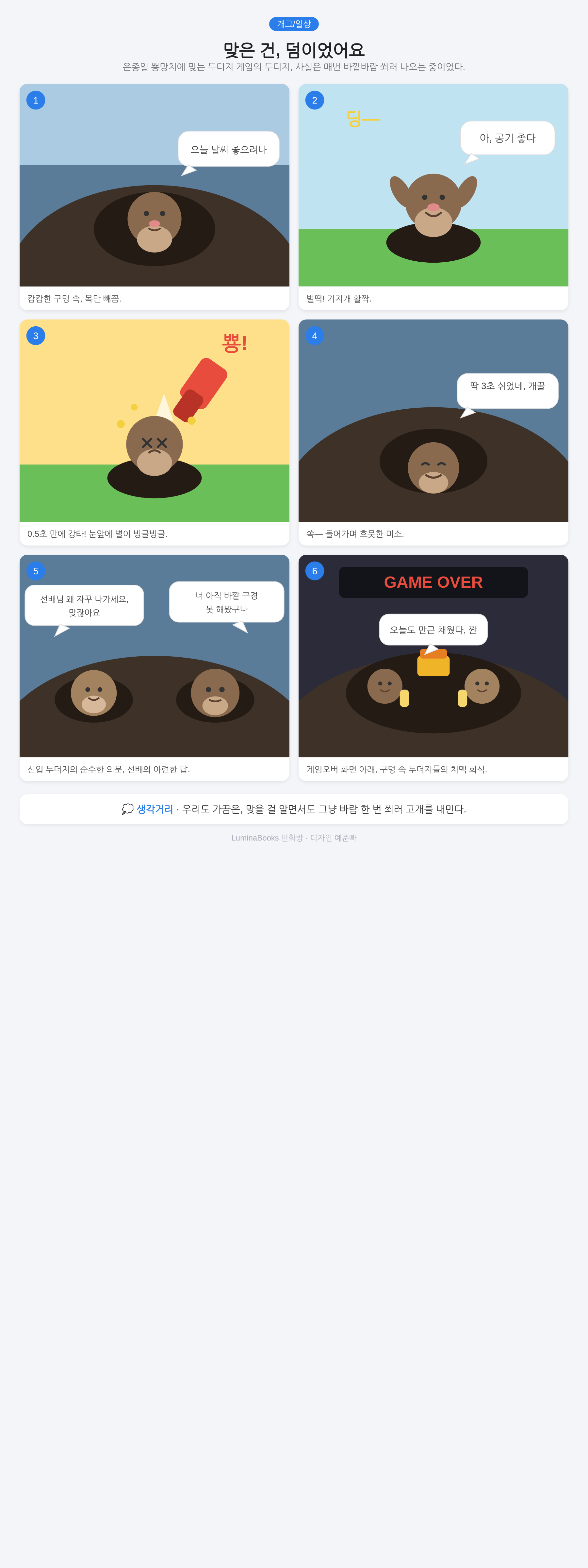 맞은 건, 덤이었어요