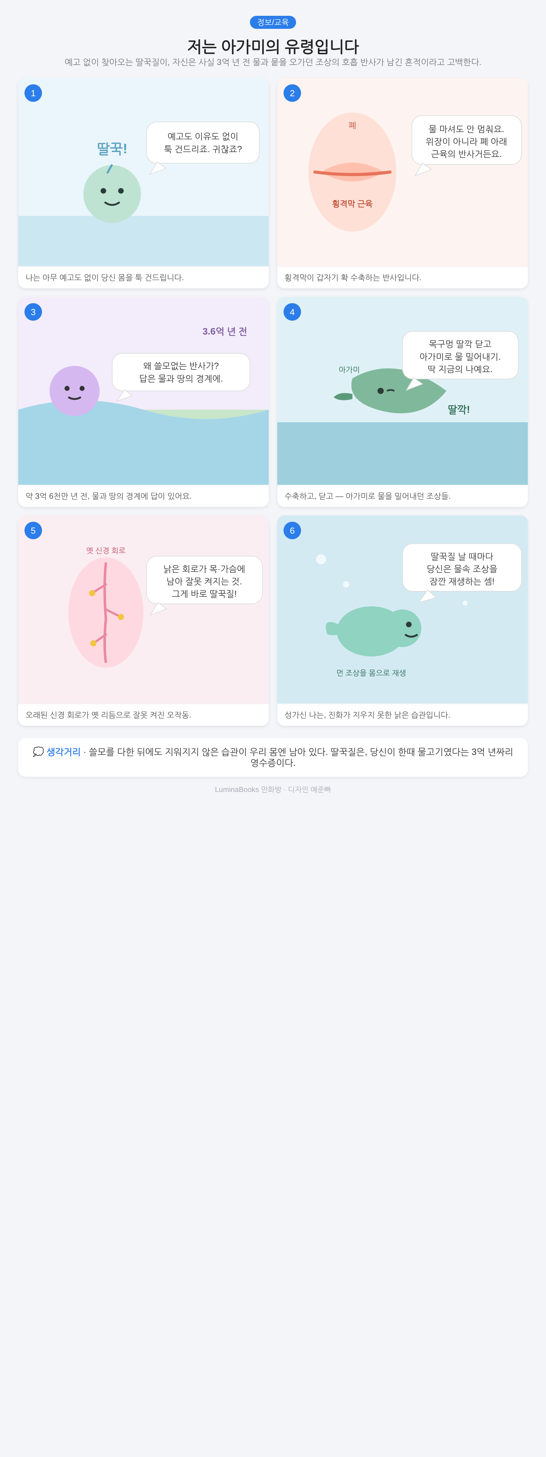 저는 아가미의 유령입니다