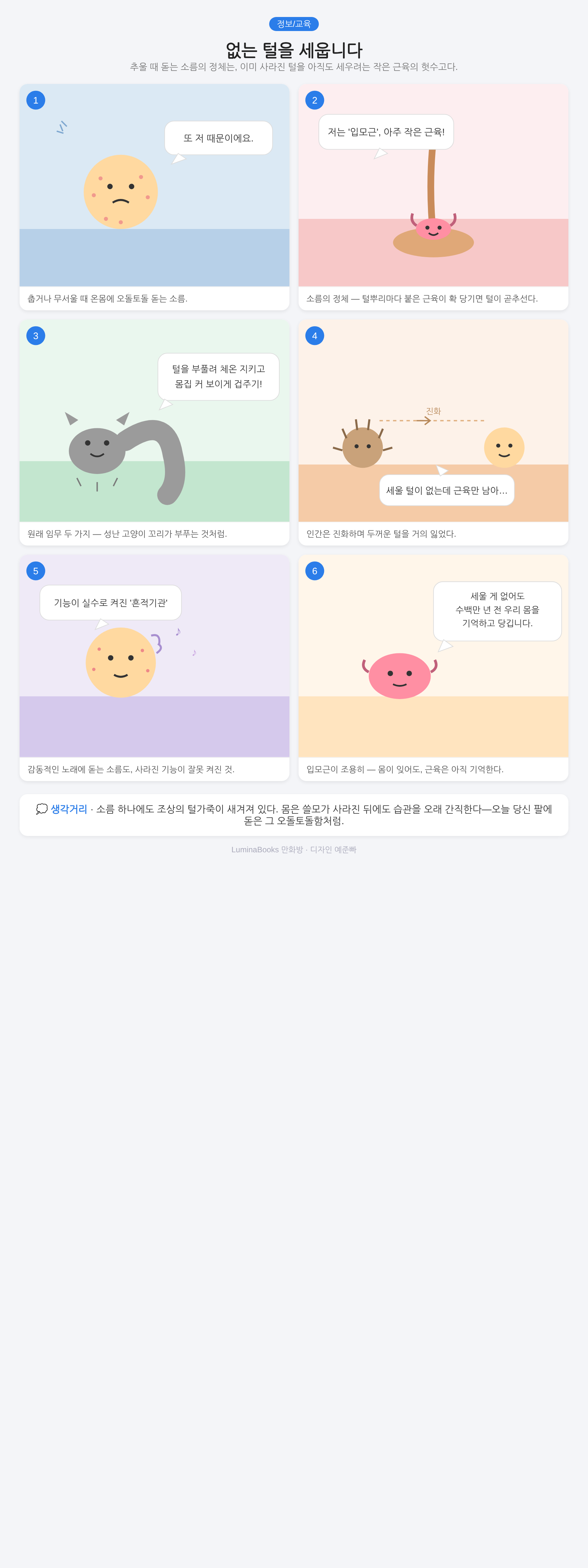 없는 털을 세웁니다