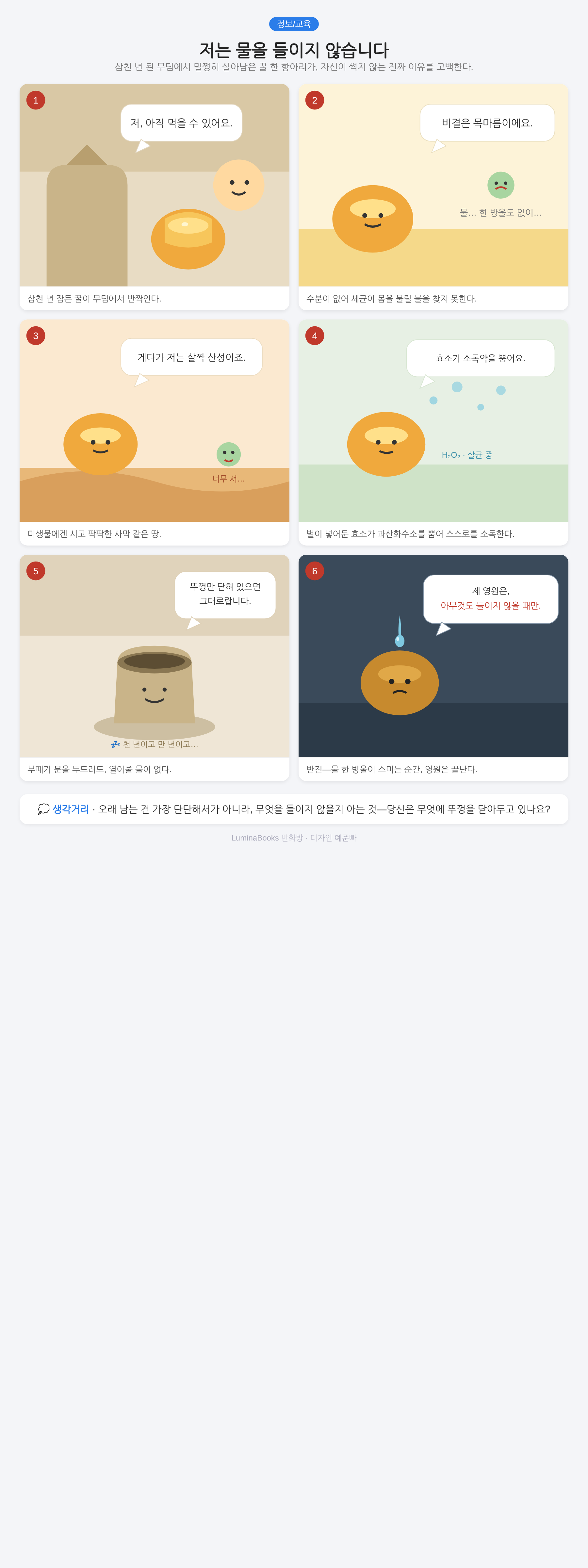 저는 물을 들이지 않습니다