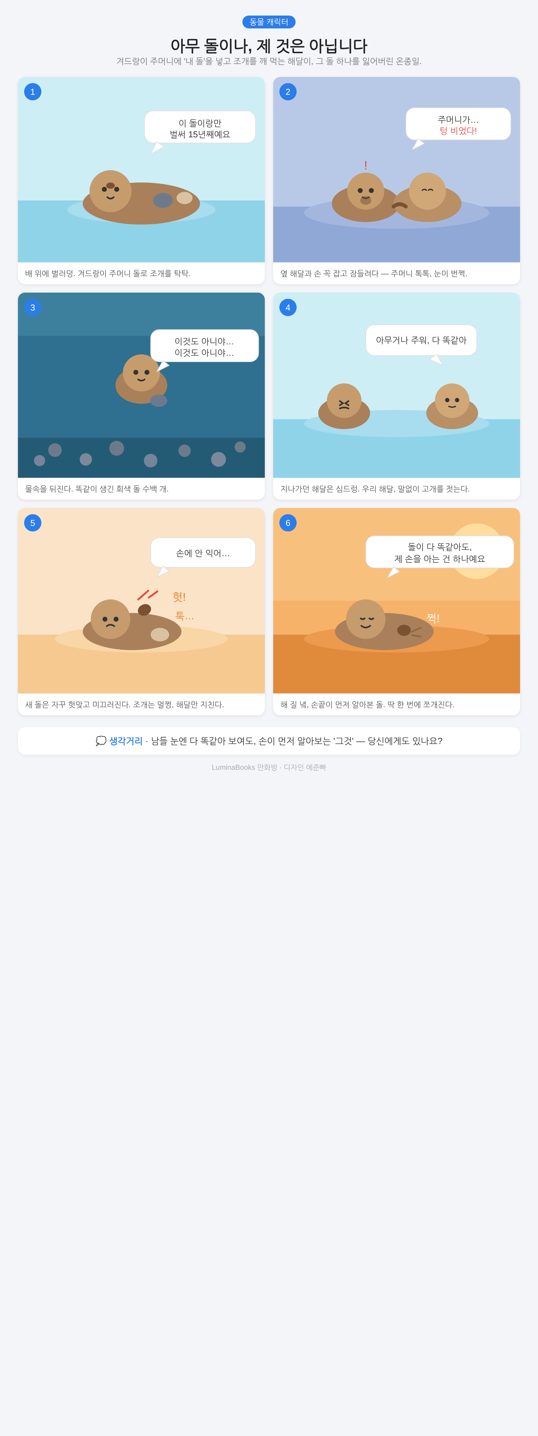 아무 돌이나, 제 것은 아닙니다