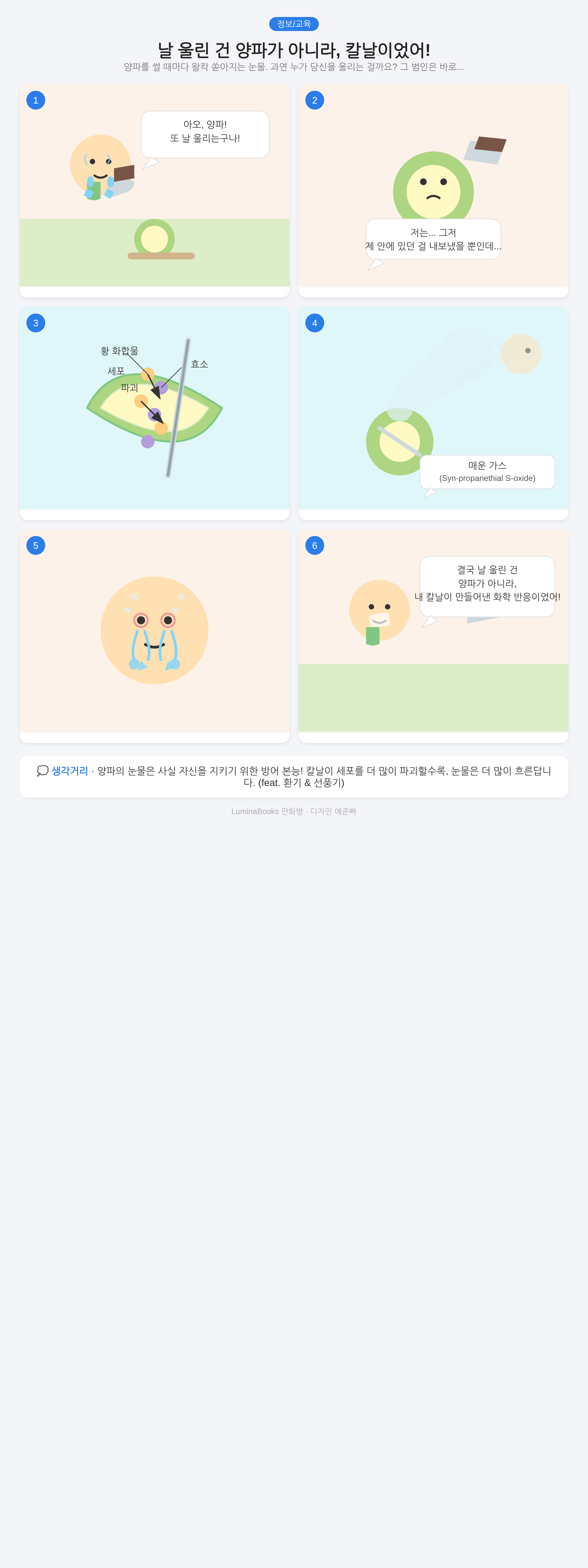 날 울린 건 양파가 아니라, 칼날이었어!